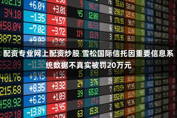 配资专业网上配资炒股 雪松国际信托因重要信息系统数据不真实被罚20万元
